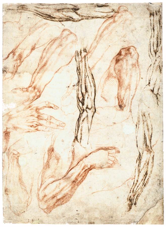 Michelangelo-Buonarroti (77).jpg